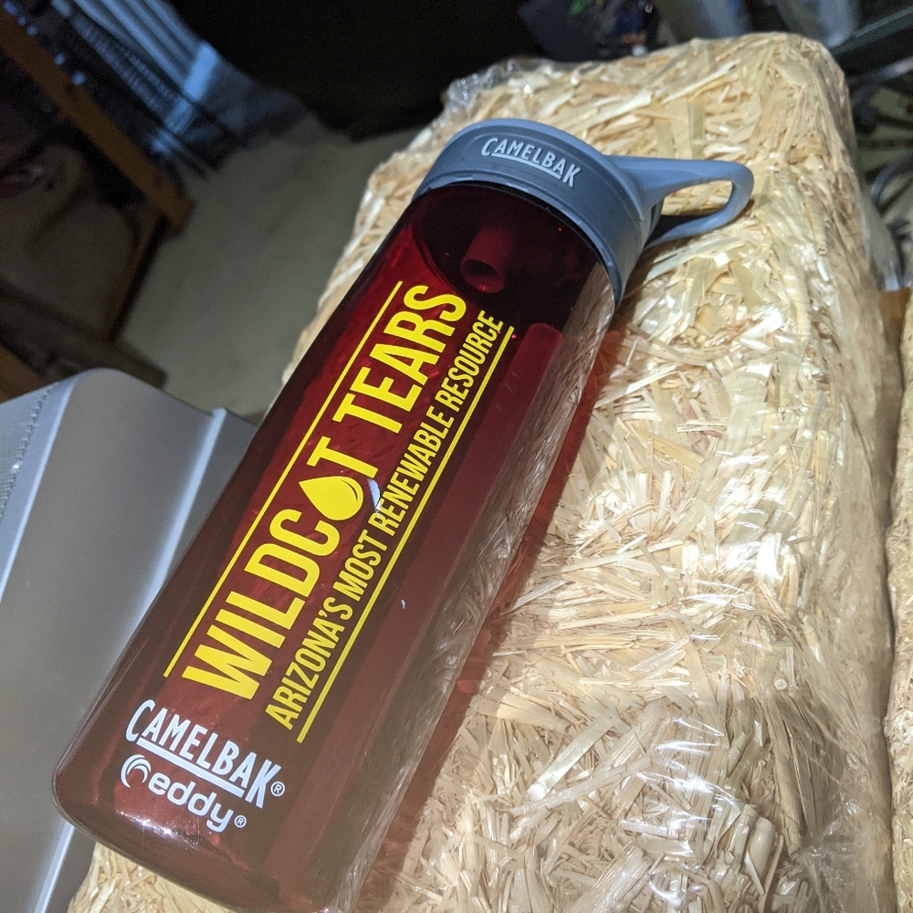 FREE Wildcat Camelback Eddy Water Bottle